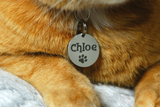 Personalised Engraved STAINLESS STEEL Dog Cat ID Collar Tag Disc Pet Name Tags