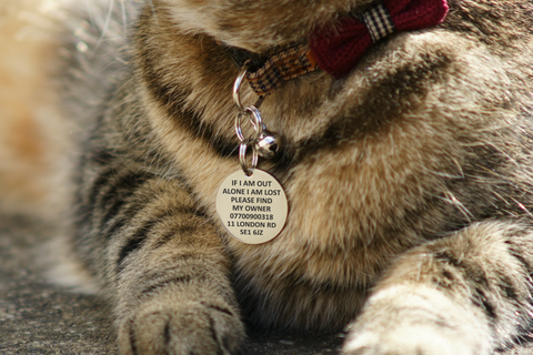 Find my cat sales collar